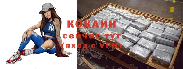 индика Магас