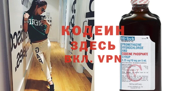 индика Магас