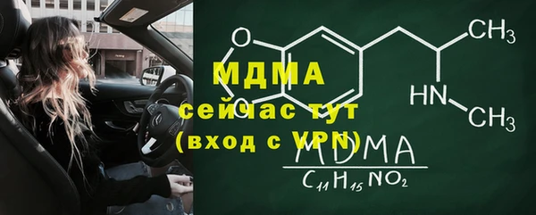 индика Магас