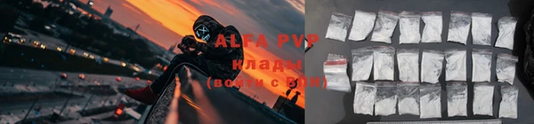 индика Магас