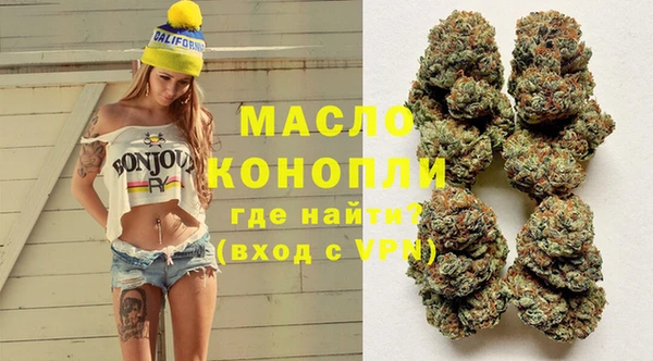 индика Магас