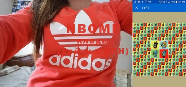 индика Магас